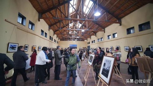 安順古城煥新顏，糧倉變身藝術殿堂 三臺灣糧倉藝術中心首展啟幕