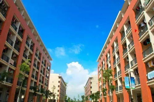 重磅 金灣爆發(fā),多盤房?jī)r(jià)破3萬 地鐵 直通橫琴 下一個(gè)珠海市中心來了